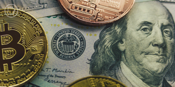 Adoption des cryptomonnaies aux États-Unis : plus un pari qu'une véritable monnaie