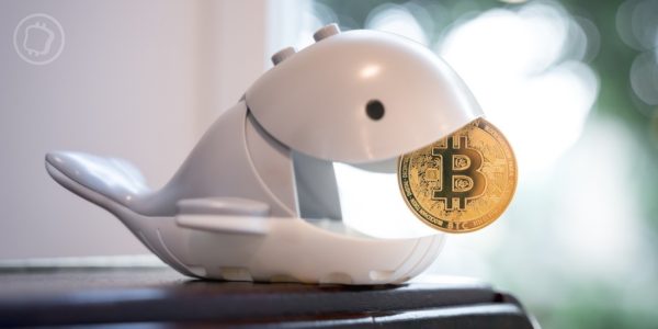 Un portefeuille endormi depuis 12 ans fait transiter 44 millions de dollars de Bitcoin (BTC)
