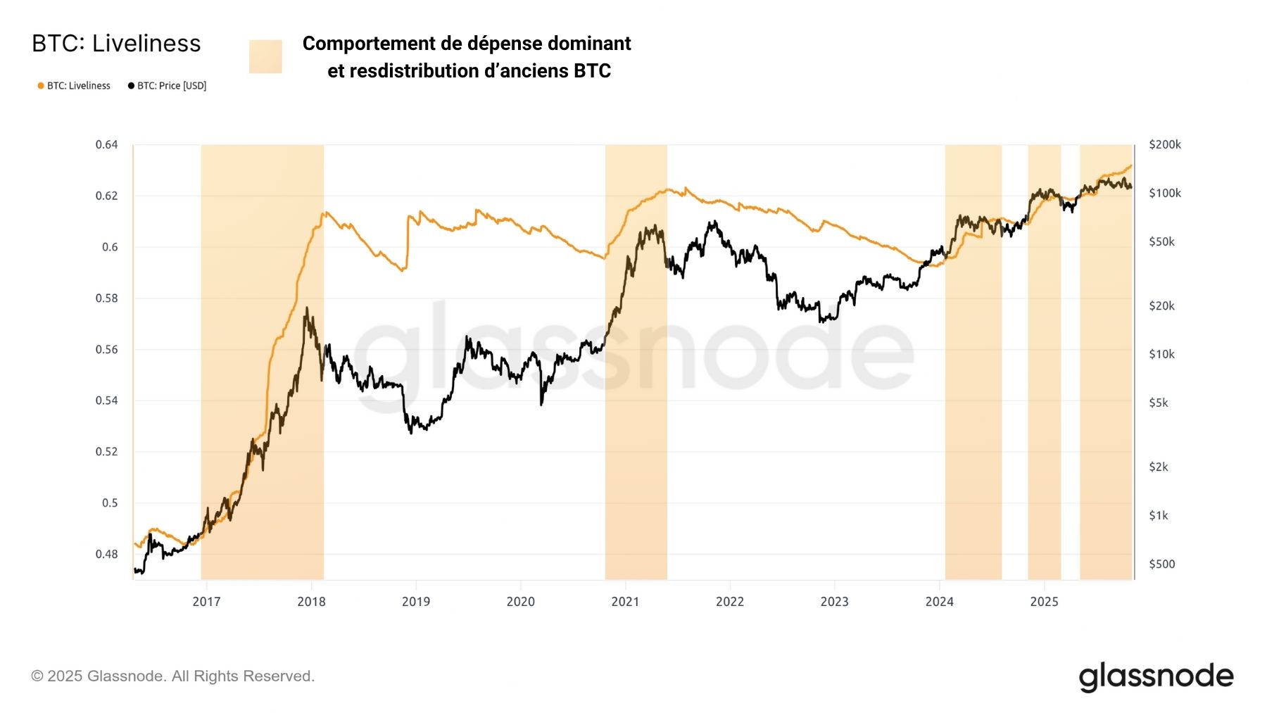 BTC Liveliness 041125 BTC Liveliness 041125