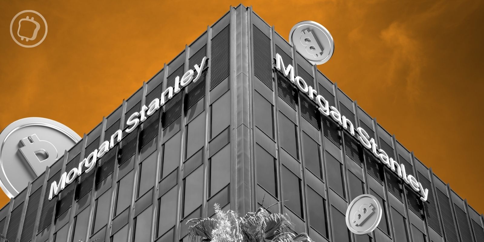 Le Bitcoin est « actuellement en automne », selon ces analystes de Morgan Stanley