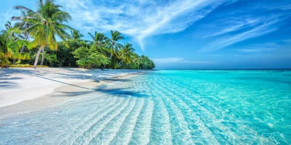 70% de l'hôtel Trump aux Maldives va être tokénisé