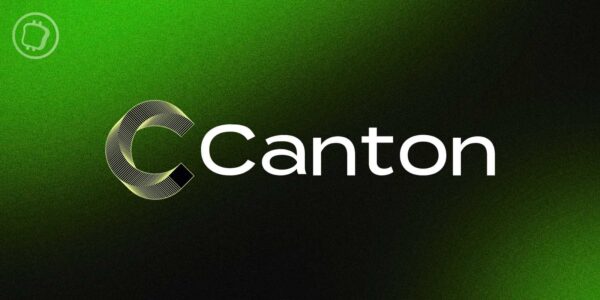 Le CC de Canton Network s'envole de 60 % en 7 jours — Que se passe-t-il ?
