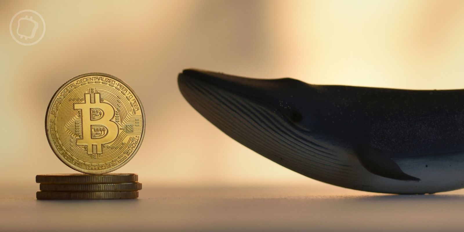 Une whale massive parie 748 millions de dollars sur la hausse de ces 3 cryptomonnaies