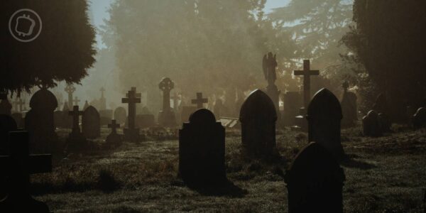 Année noire pour les cryptomonnaies ? La moitié d'entre elles sont déjà mortes selon CoinGecko