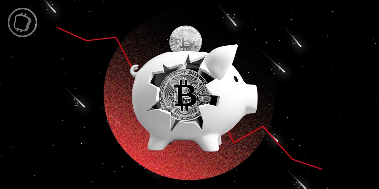 Toutes les trésoreries cryptos sont désormais en pertes, à une exception près