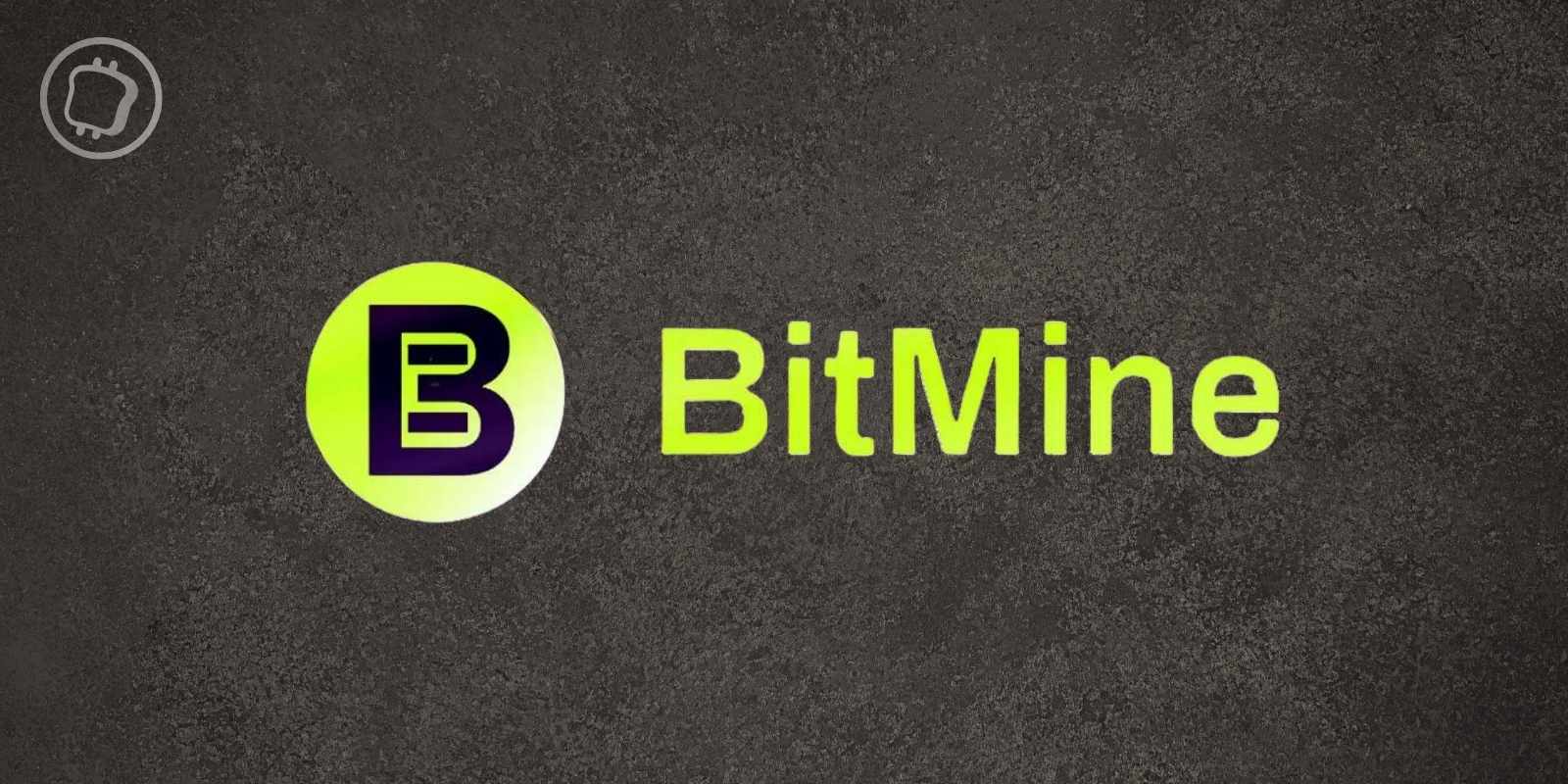 Bitmine accumule 4,7 millions d'ETH – soit presque 4 % de tout l'Ethereum