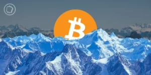 Achats records de Bitcoin et d'Ethereum en plein hiver crypto !