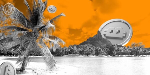 Des cryptos à Tahiti : le PICS revient pour une 2e édition les pieds dans l'eau