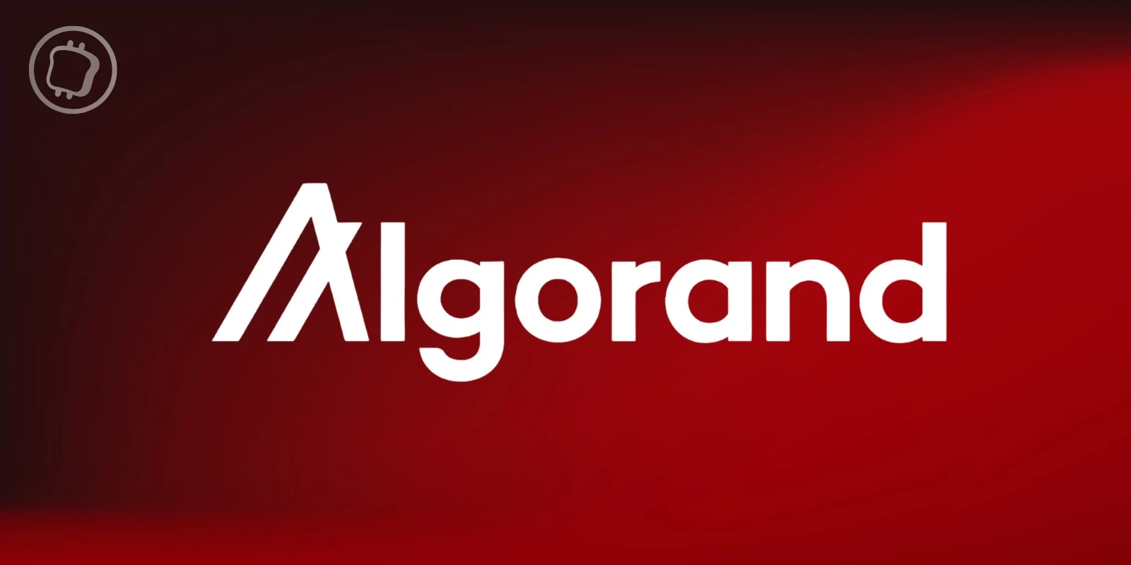 La Fondation Algorand réduit ses effectifs de 25 %