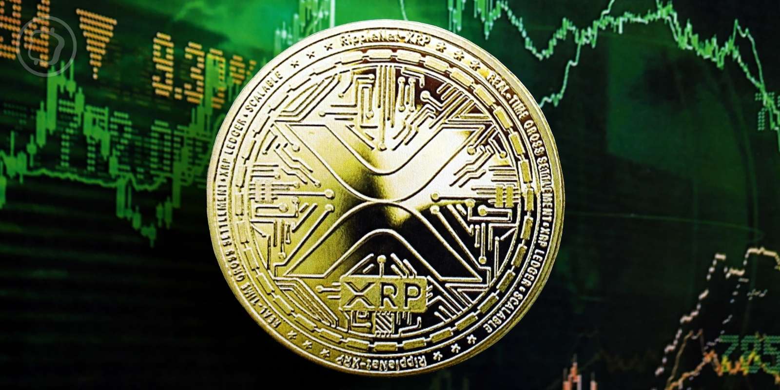 Expansion en Asie-Pacifique, transactions en hausse, ETF... Comment Ripple (XRP) continue à tirer son épingle du jeu