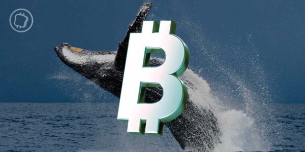 Les whales Bitcoin vendent leurs BTC presque immédiatement rachetés par les institutions