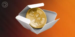 Bitcoin : une « monnaie de Schrödinger » dont le statut dépend du bon vouloir des autorités